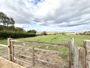 Paddock- click for photo gallery